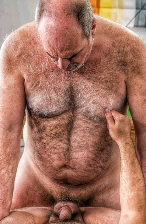 CHUBBY DADDY BEARS