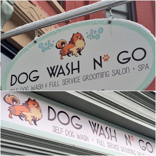 babylonian:i found a dog-washing place in Brooklyn that is straight up using Missile from Ghost Trick as its mascot?? oh my god????
