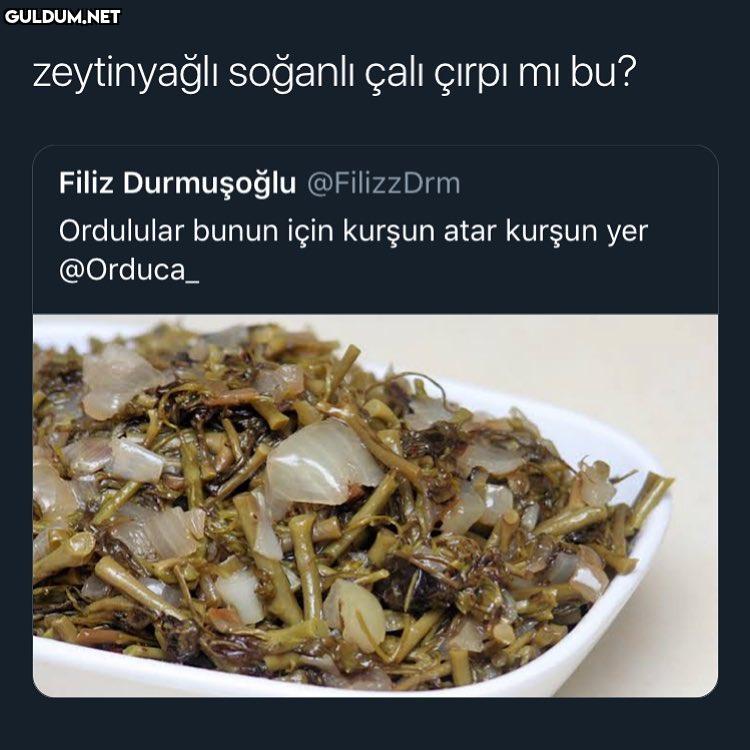 - zeytinyağlı soğanlı çalı...