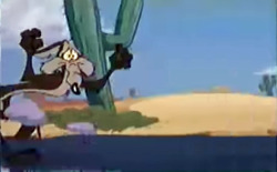 #wile e. coyote on Tumblr