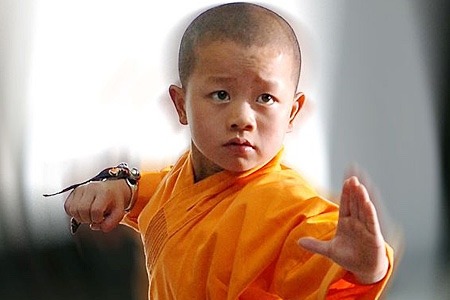 rootsofcombat2:  Kung fu kid 