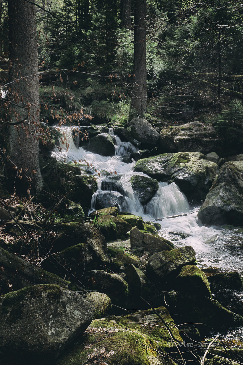 uwhe-arts: a creek  | uwhe-arts 