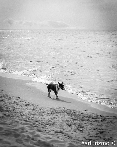 By the sea #summermemories #analogphotography #filmphotography #filmnotdead #istillshootfilm #rollei