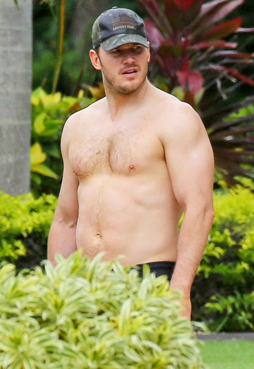 bananacelebs: Chris Pratt nude and sex scenes Source: gay-male-celebs.com