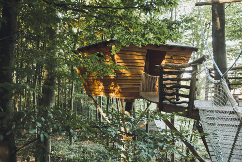 treehauslove:Robin’s Nest Treehouse Hotels. A secluded getaway cozily settled up on a forested mount