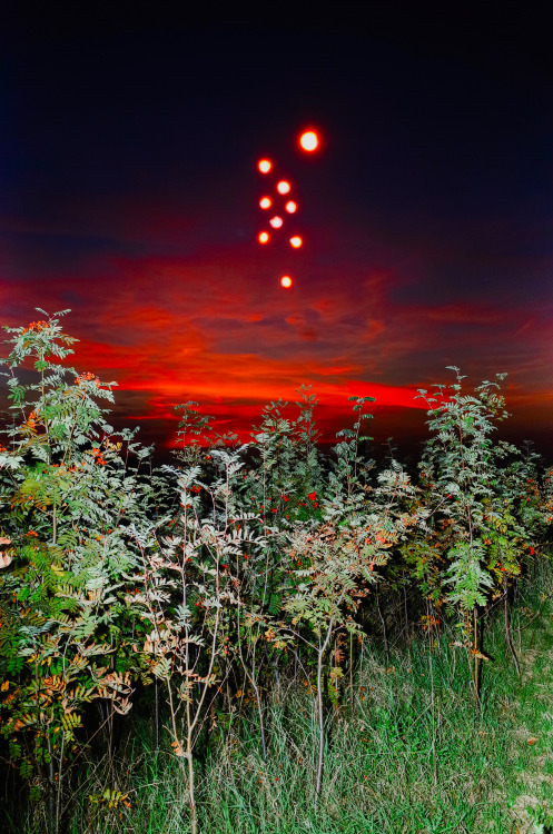 theleoisallinthemind:Max Slobodda