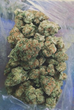 vvhatmighthavebeenlost:  Ounce of GSC. I’ve