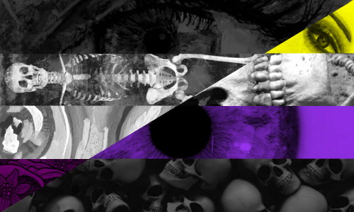 Nonbinary Asexual Eye/Skeleton Flag for AnonRequests are Open ~!