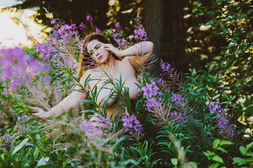 XXX corwinprescott:   “Into the Wild”Seattle, photo