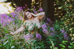 corwinprescott:  “Into the Wild”Seattle,