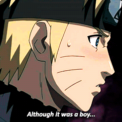 The Naruto Fandom.