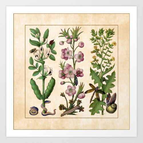 chimaeradreamsart:(via Flowers I - Grandes Heures d'Anne de Bretagne Art Print by ChimaeraDreams (J 