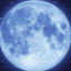 blueorbshark