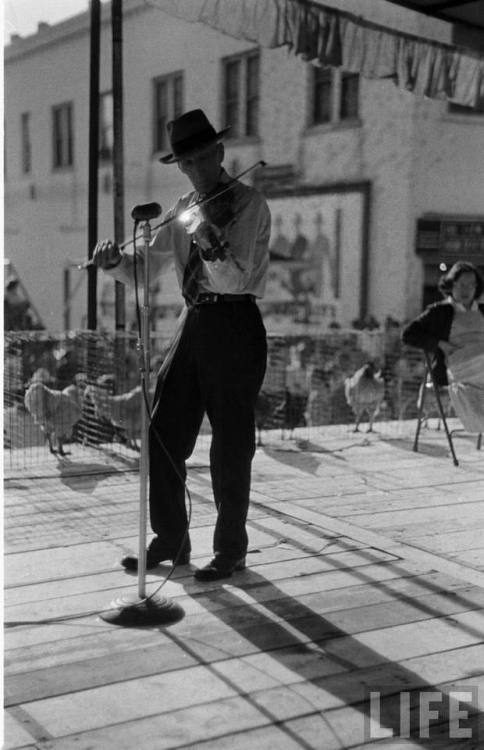 Rooster Day in Broken Arrow, Oklahoma(Joseph Scherschel. 1950)