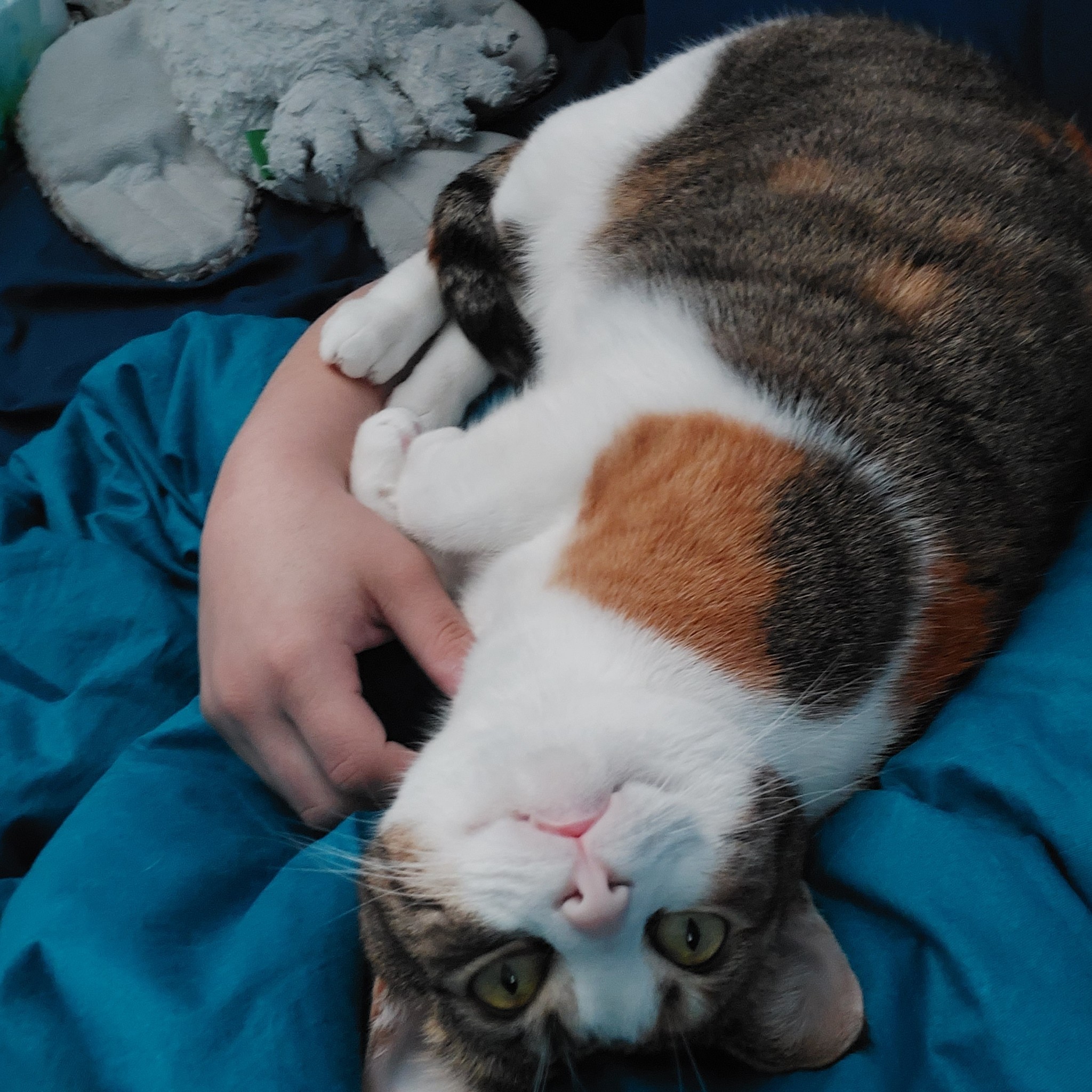 fbwzoo:Good morning