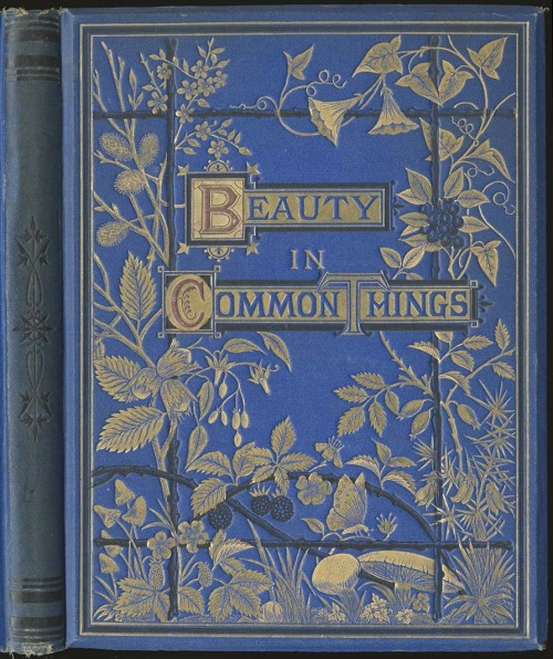 books0977:Beauty in Common Things. Miss A C Chambers. Illustrated by Mrs J W Whymper. London: Societ