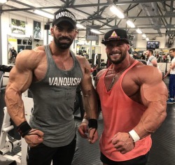 drwannabebigger:Sergi Constance and Joey Sergo