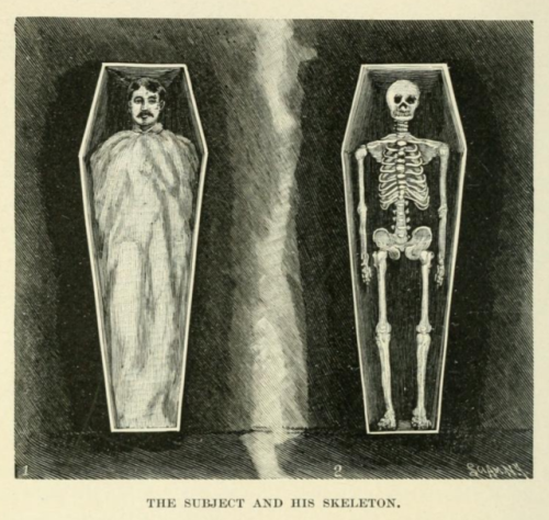 insearchofpaganhollywood: Magic; stage illusions & scientific diversions, including trick photog