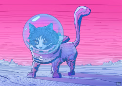 Space Cat