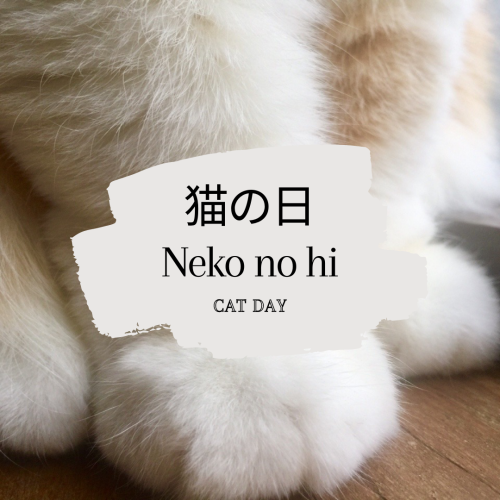 japanesewords:Today is National Cat Day in Japan. 22.2  今日は猫の日。