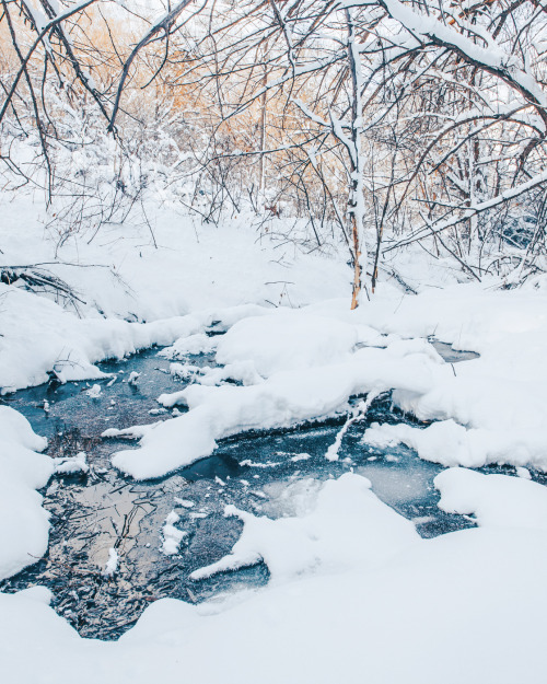 Hidden creek in the snowy woods.Instagram