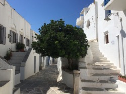 heybabydontyouworry:The Kastro of Sifnos