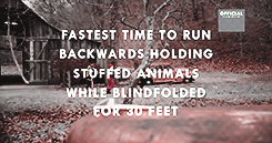 missilekid:  On December 2nd, Paramore set out to break the most world records in a music video.