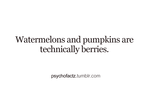 psychofactz:  More Facts on Psychofacts :) 