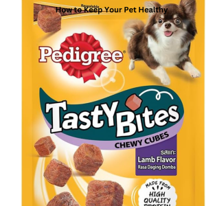 How To Keep Your Pet Healthy? Try The Best Dog Food Options!