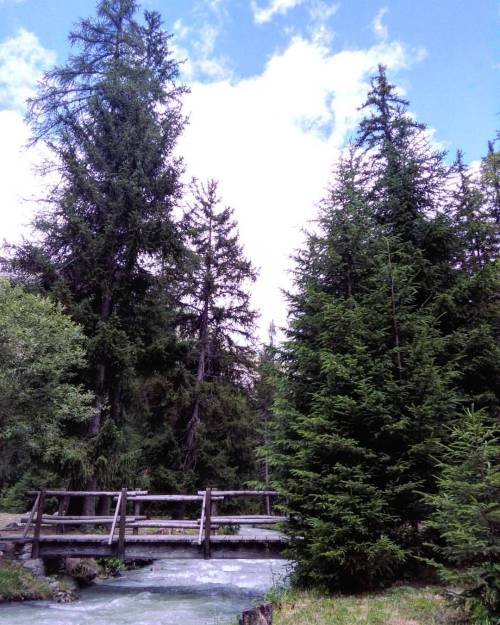 #nature #ig_valdaosta #ig_nature #trees #skyporn #cloudporn #italy #torrente #bridge (presso La Thui