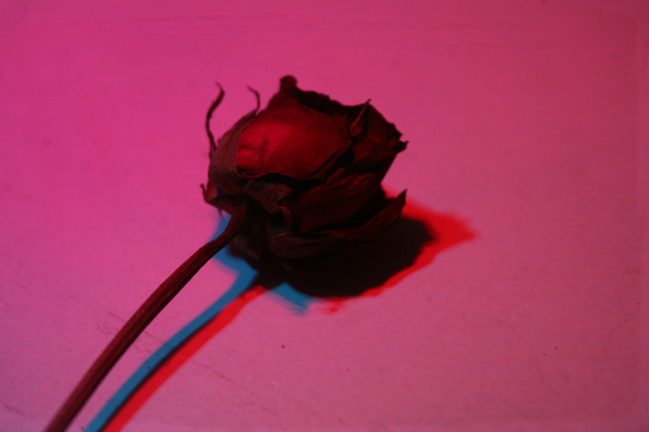 three dimensional effects (2015)as apart of my bracketing assignment for class I