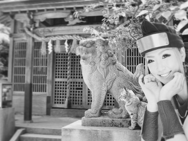 ネコ科 #followforfollow #japan #ninja #cute #akihabara