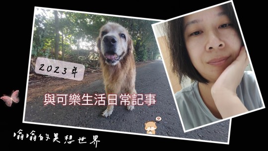 懶人包→嗡嗡家16歲的黃金獵犬爺爺 ▶ 可樂 照顧等日常記事