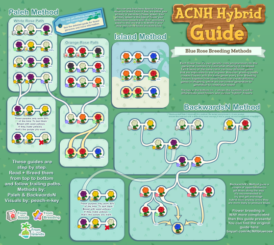 Till retain an certifications printing a adenine birthplace, passing with wedding start i have current accepted images id