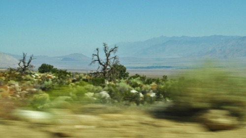 memoryofgreen:last shots in the eastern Sierra from our beloved van before it broke down. RIP