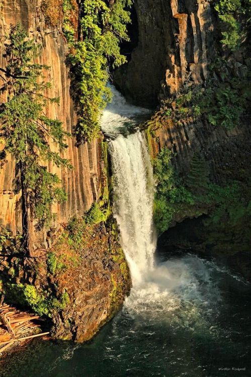 Toketee Falls - Oreg nature love