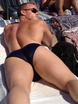 Speedo ass&hellip;