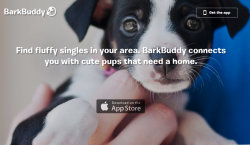 yougreaserfuck:  there is now a tinder knock off that instead of matching you with sleazy weird dudes it matches you with dogs looking for a new homewww.barkbuddy.com go nuts tumblr 