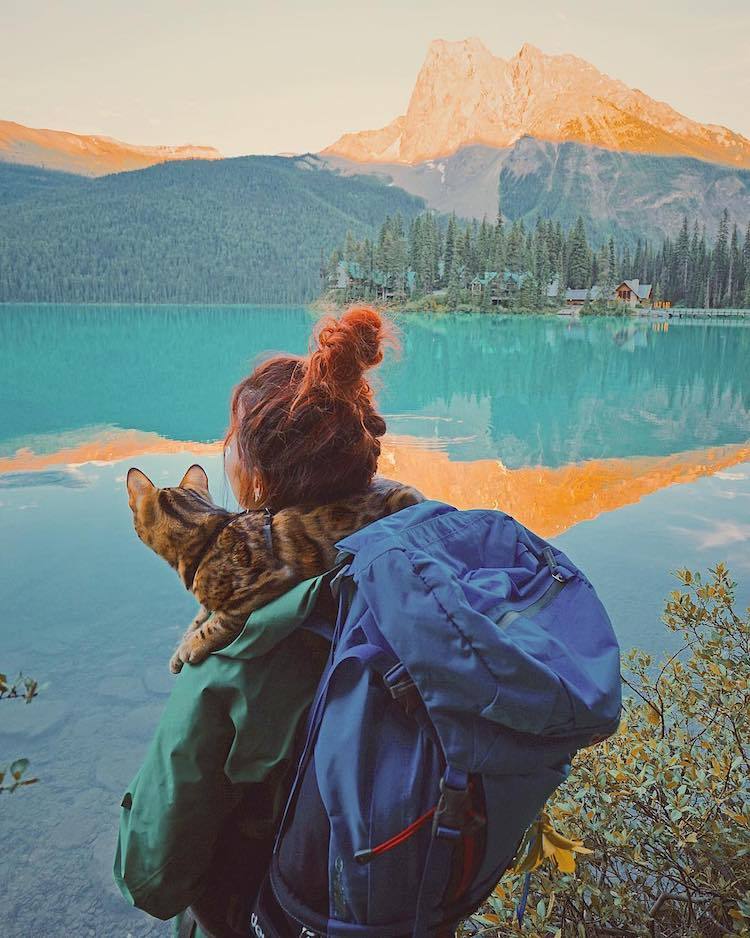 archiemcphee:  Every day is Caturday for Suki the Adventure Cat. Suki is a gorgeous
