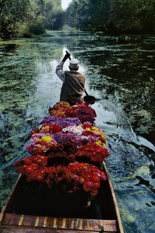 agelessphotography:Flower Seller, Dal Lake, Kashmir, Steve McCurry, 1996