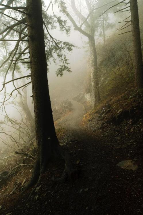 rediscoveringearth: Alum Cave Trail, Tennessee | by Josh BransonMore of our amazing world