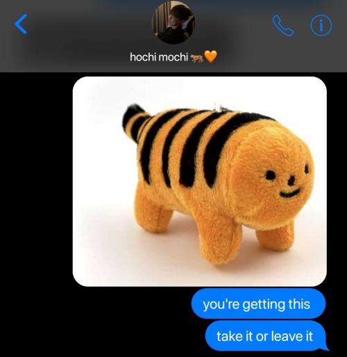 Stupid Tiger Obsession, Kwon Soonyoung.
