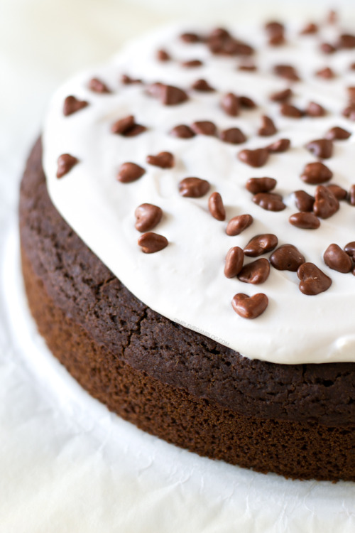 do-not-touch-my-food: Chocolate Cake