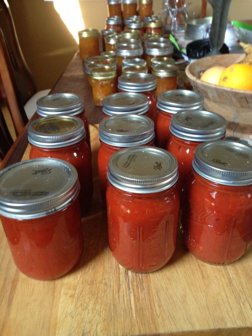 A busy canning day! We canned 10 pints of marinara sauce, 14 pints of peach jam, and 8 ½ pint