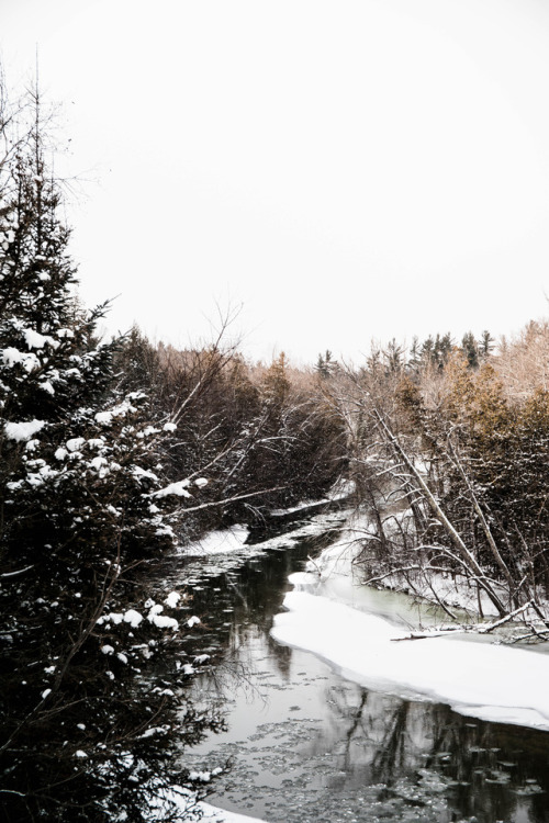 northern Michigan winter wanders