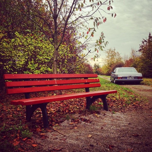 Autumn in Germany. ..#sourkrauts #german #motowear #germanengineering #fashion #lifestyle #stance #s