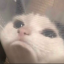 beansinmysoup
