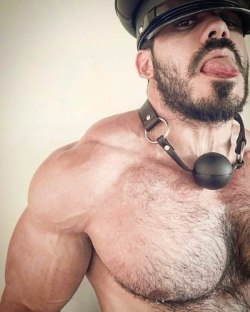 bigbodybuilderboys:  Gag the big muscle boy