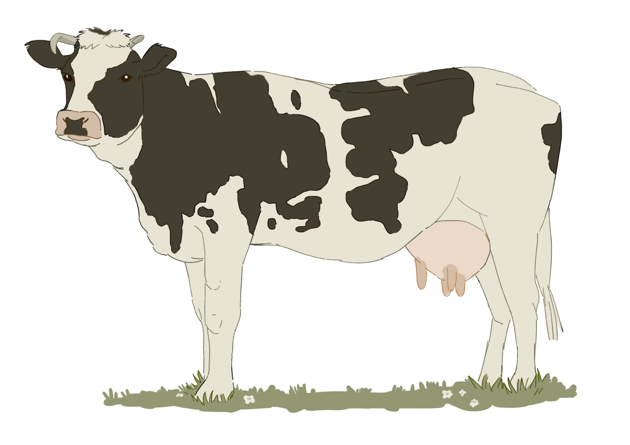 babie #cow!!!!!! #:-))))#my art#holstein cow#Illustration#cow#digital drawing#digital art#warmcore#cottagecore