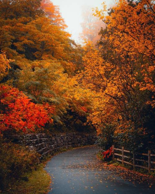 autumncozy:By normyvision